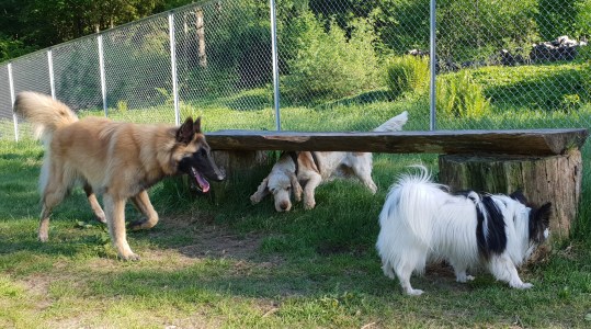 2018.05.25.PitoTiraMax