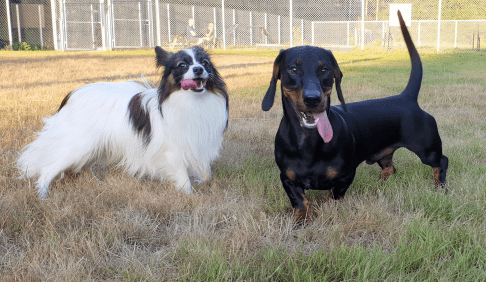 2018.07.19 Albus.Ludvig